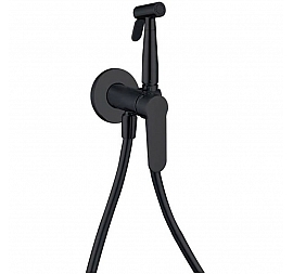 Гигиенический душ Aquanet Passion AF300-52B