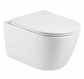 Унитаз подвесной Aquatek Бетта AQ1253W-00