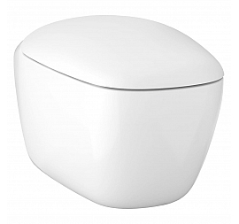 Унитаз подвесной Geberit Citterio 500.510.01.1