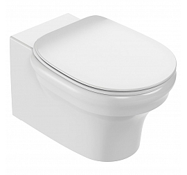 Унитаз подвесной Jacob Delafon Cleo EDZ102-0