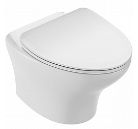 Унитаз подвесной Jacob Delafon Nouvelle Vague EDK102-00