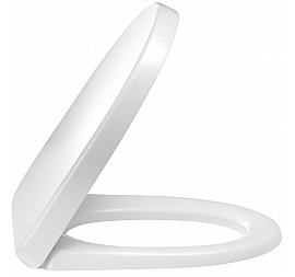 Крышка-сиденье Jacob Delafon Odeon Up E70011-00 микролифт