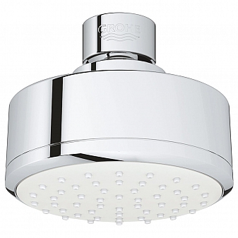 Верхний душ Grohe New Tempesta Cosmopolitan 100 26366001