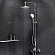 Душевой гарнитур AM.PM X-Joy F40885A34