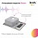 Мойка кухонная Iddis Sound SND60SDi77 60 см шелк