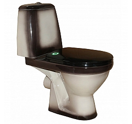 Унитаз-компакт Rosa Премьер чёрный